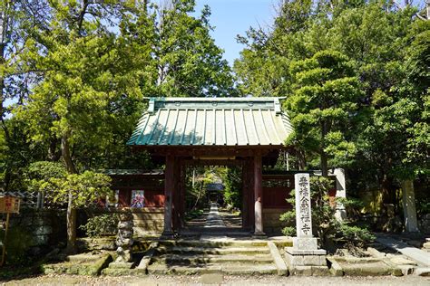 壽福|鎌倉五山：寿福寺～北条政子創建の寺の歴史・見どころ